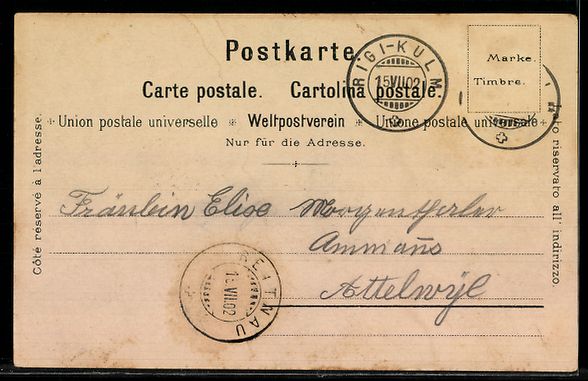 Cartoline postali: Lithographie Rigi, Totalansicht mit Hotels – Usato da Berlin venduto da bartko-reher 1