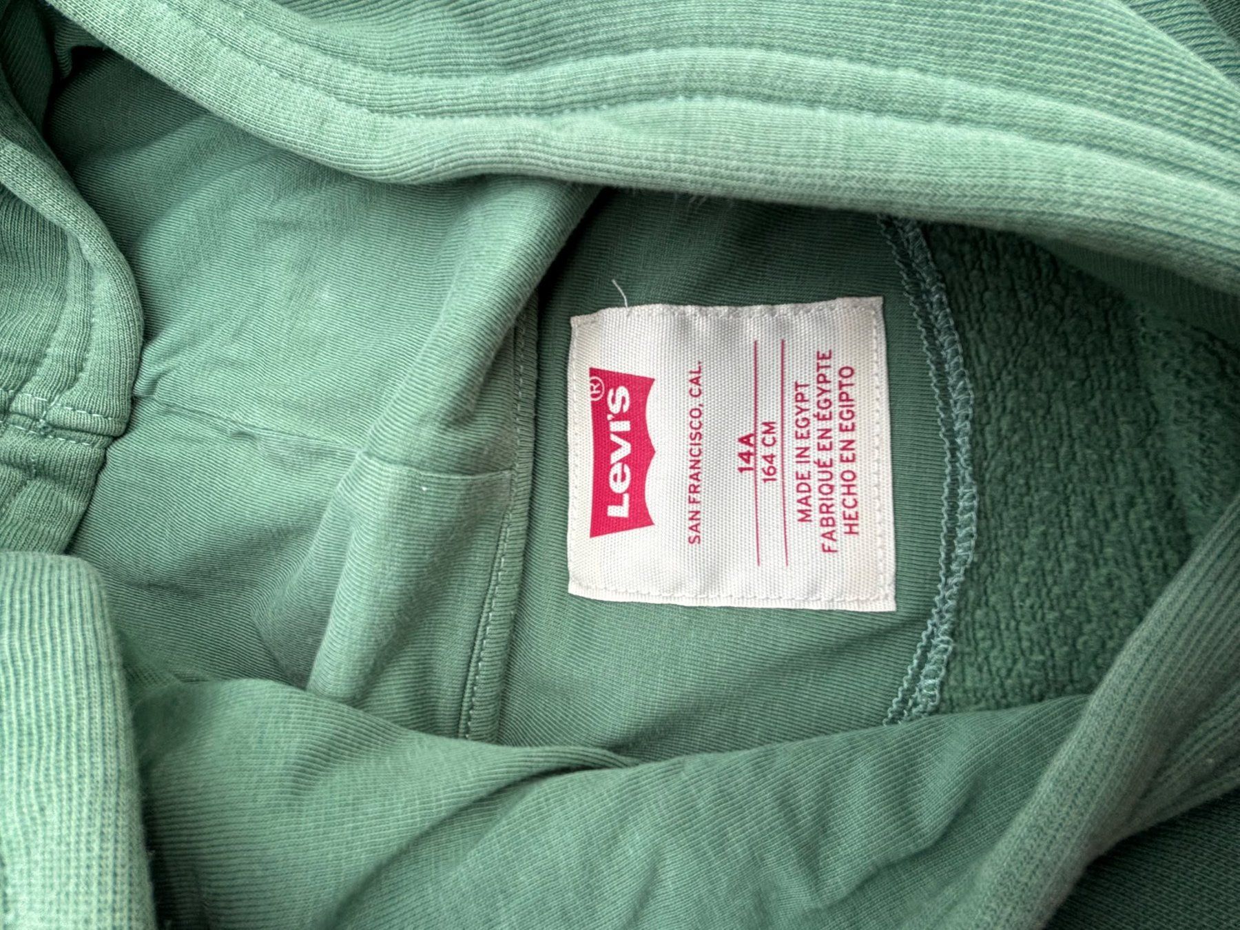 Pullover & Sweatshirts: Levis Kapuzenpullover grün – Gebraucht aus Hausen AG von Flak 2