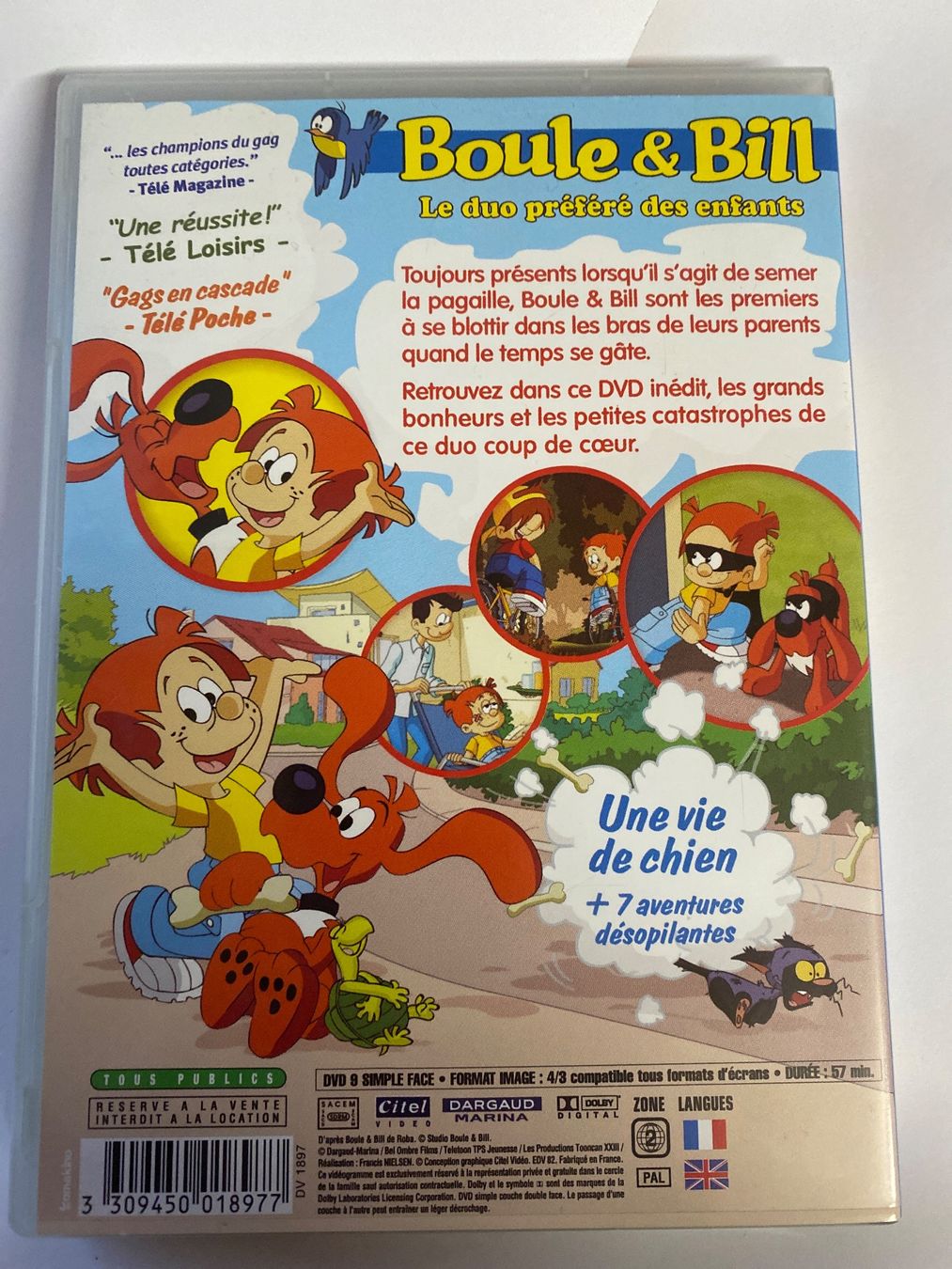 Tutti i DVDs: Boule et Bill - Une vie de chien, DVD – Usato da Le Brassus venduto da cinema13 1