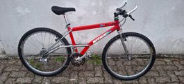 Kult Mtb NISHIKI