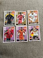 6 Panini Extra Stickers