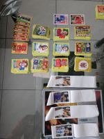Panini Wm 2026 Sticker Sammlung plus Extra Stickers