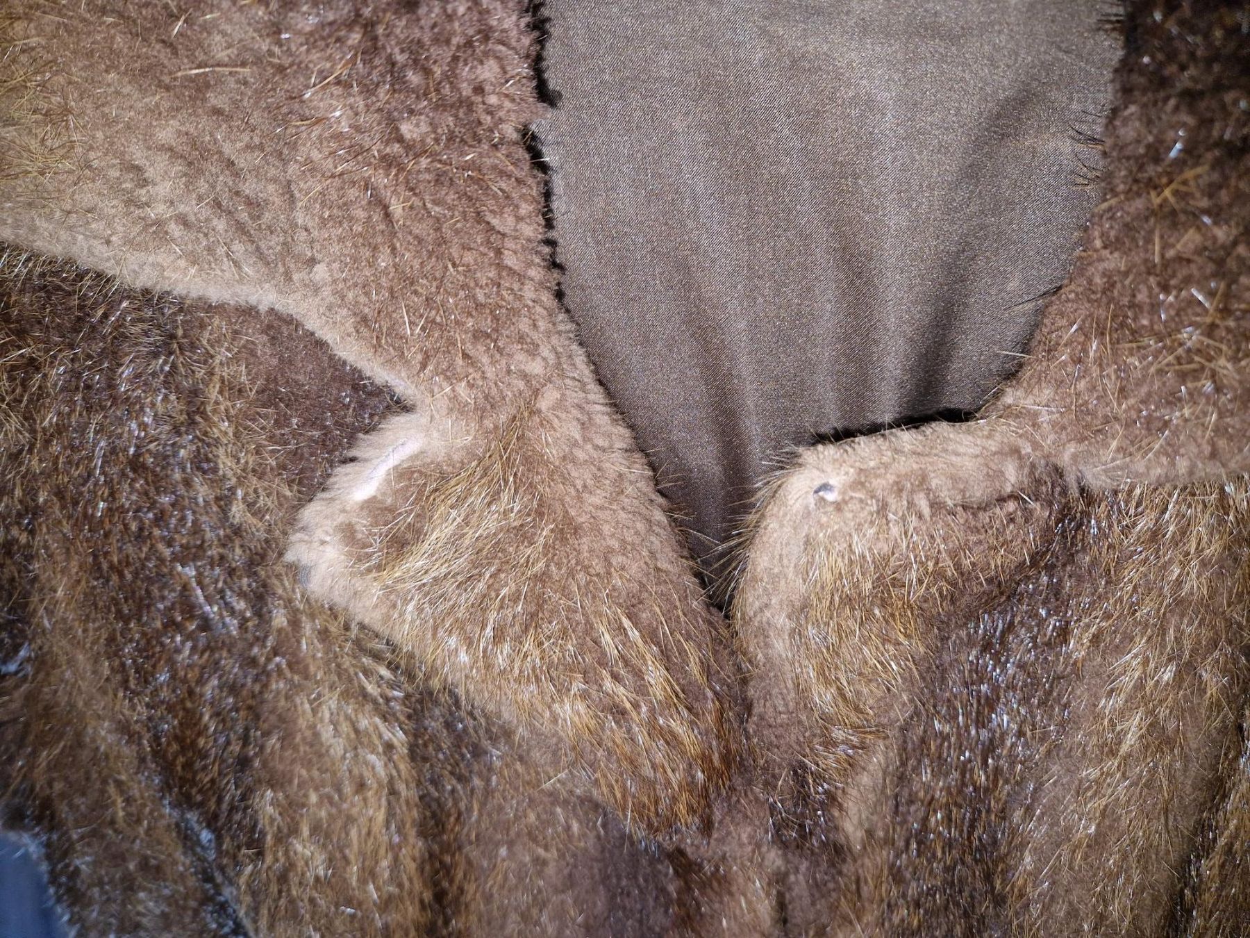 Jacken: Pelzjacke Spitznutria – Gebraucht aus Uerikon von ernmanic 2