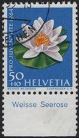 50 Rp. Weisse Seerose mit TAB (deutsch)