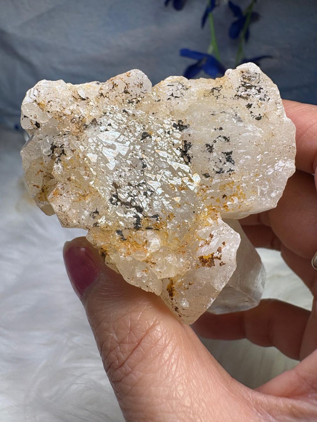 Minerali & Pietre curative: Laotian Clear Quartz mit Record Keeper – Nuovo (secondo la descrizione) da Neuheim venduto da m.hald 7