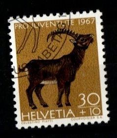 Alle Briefmarken: 1967 - PJ / Einh. Wildtiere / Steinbock – Gebraucht aus Schaffhausen von poststamp