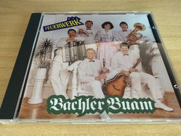 Bachler Buam – Feuerwerk