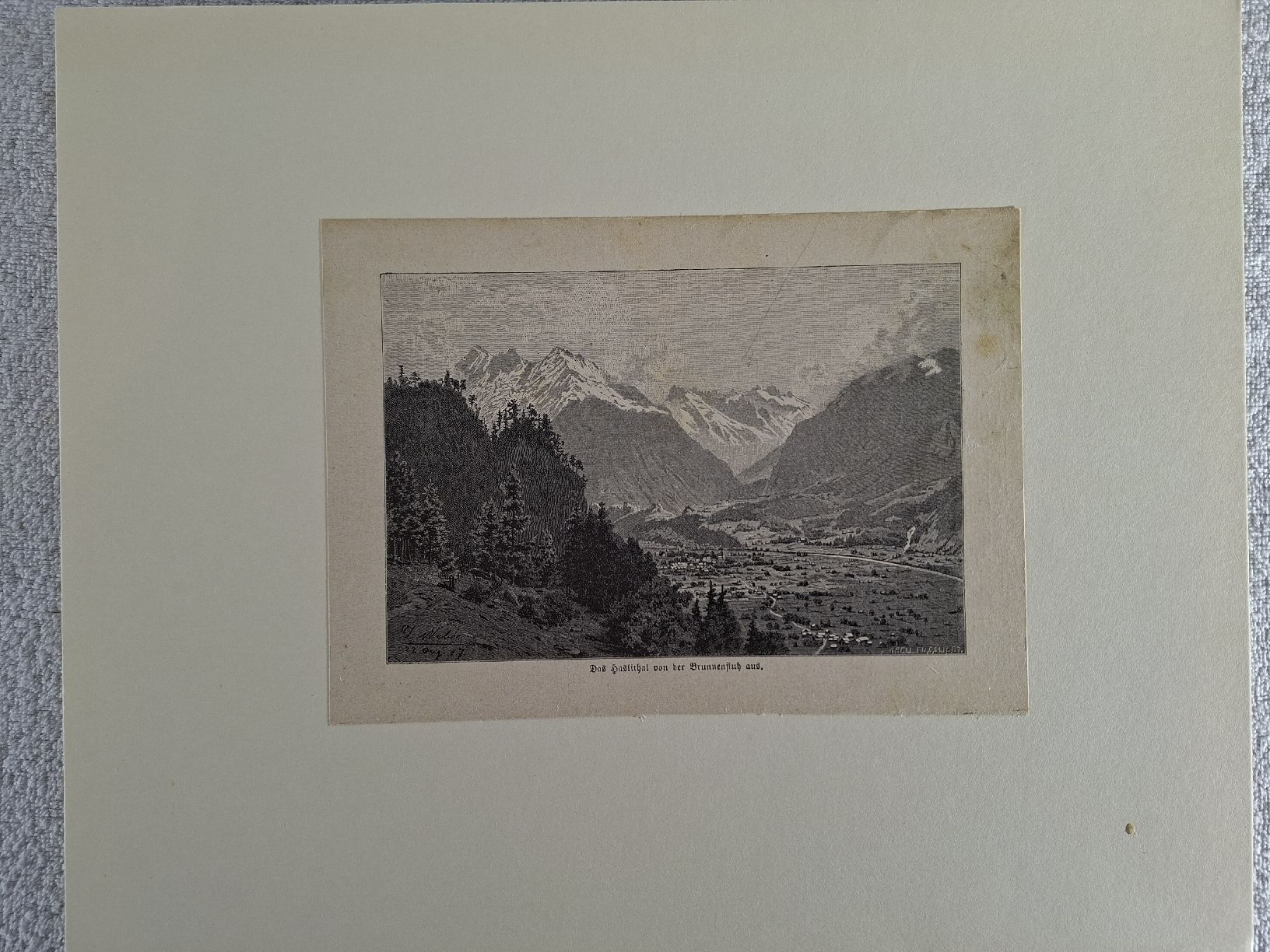 Incisioni: Lot 41 , 5 Stiche  – Usato da Grindelwald venduto da carro5 6