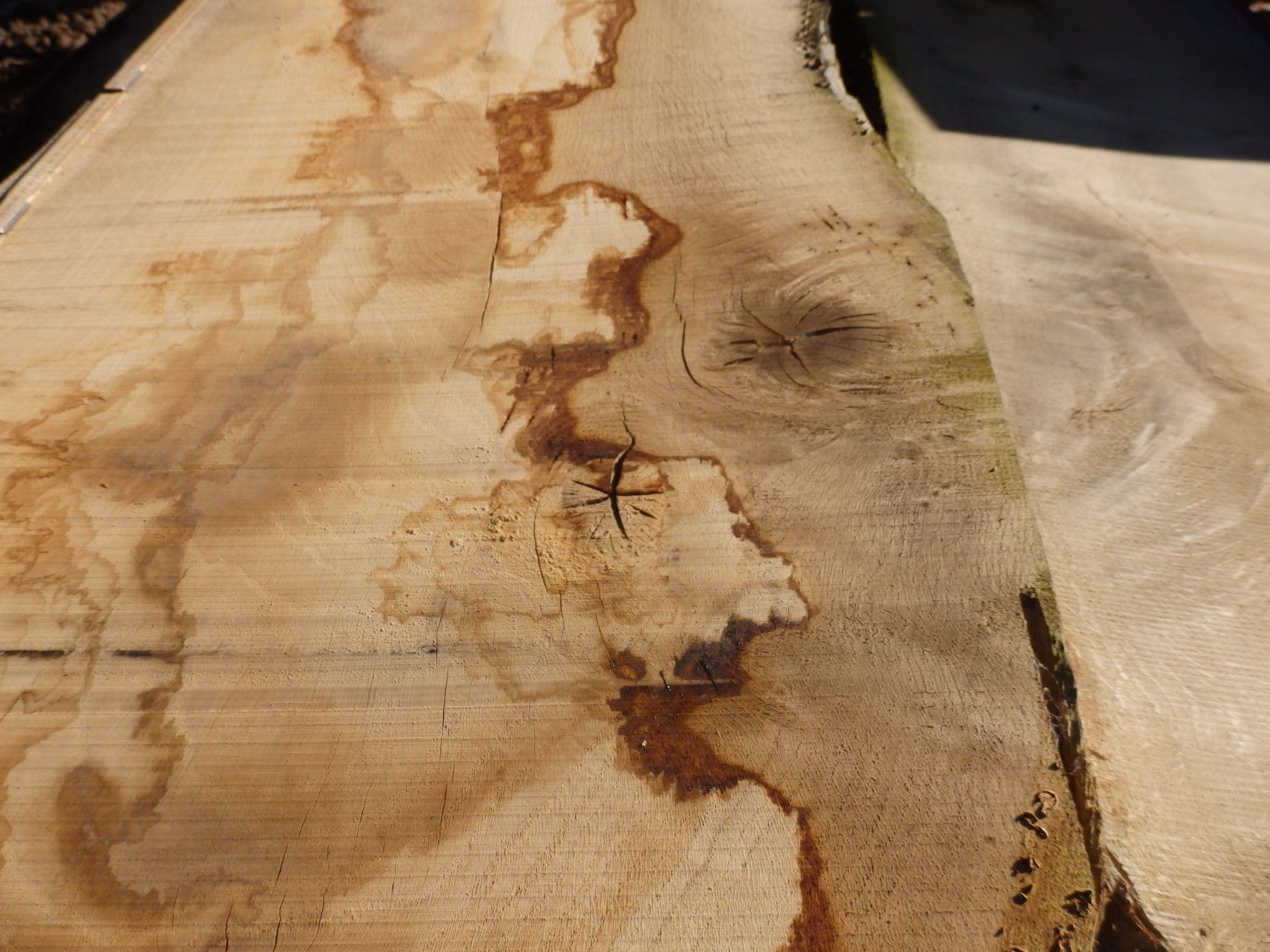 Articoli in legno: Eichenbrett – Usato da Heiligenschwendi venduto da kiplimo 4