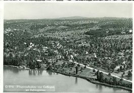 Gelfingen LU Baldeggersee Alpar Foto G9741 sehr gut erhalten