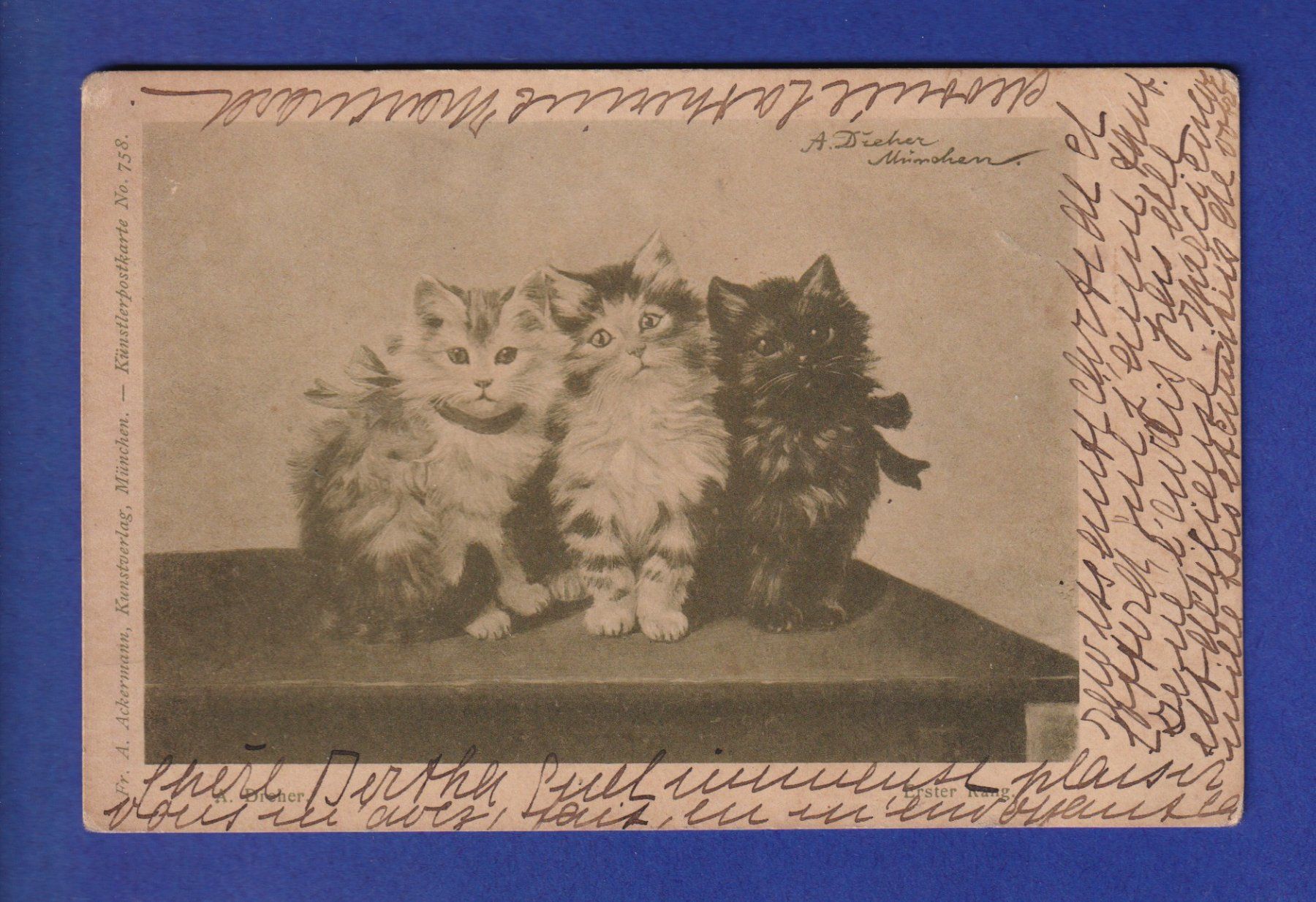 Cartoline postali: CHAT - 3 chats – Usato da Pully venduto da nicecards-shop