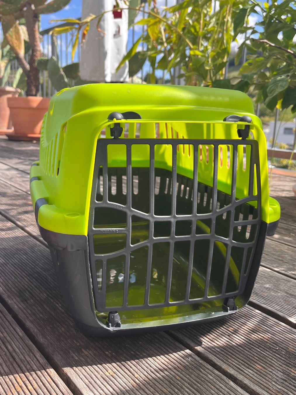 Gabbie, trasporto & Sicurezza: Kleintiertransportbox – Usato da Wettingen venduto da haagli68 3