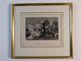 Der Hahnenkampf – Stahlstich nach Frans Snyders