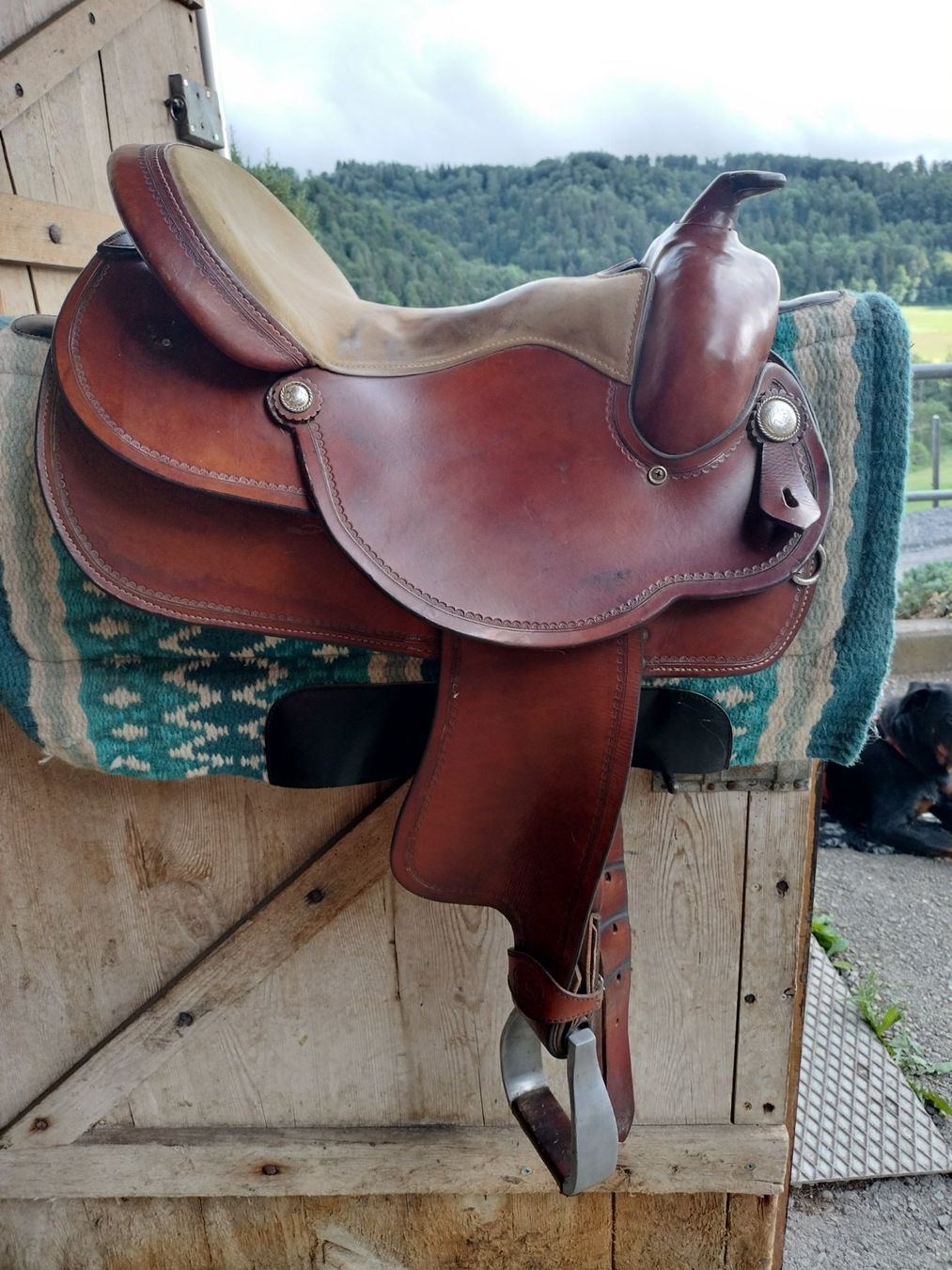 Selle & Accessori: Westernsattel Montana – Usato da Pfungen venduto da Savaklunki 3