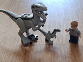 Original LEGO Jurassic World: Velociraptor Blue & Beta + Owe