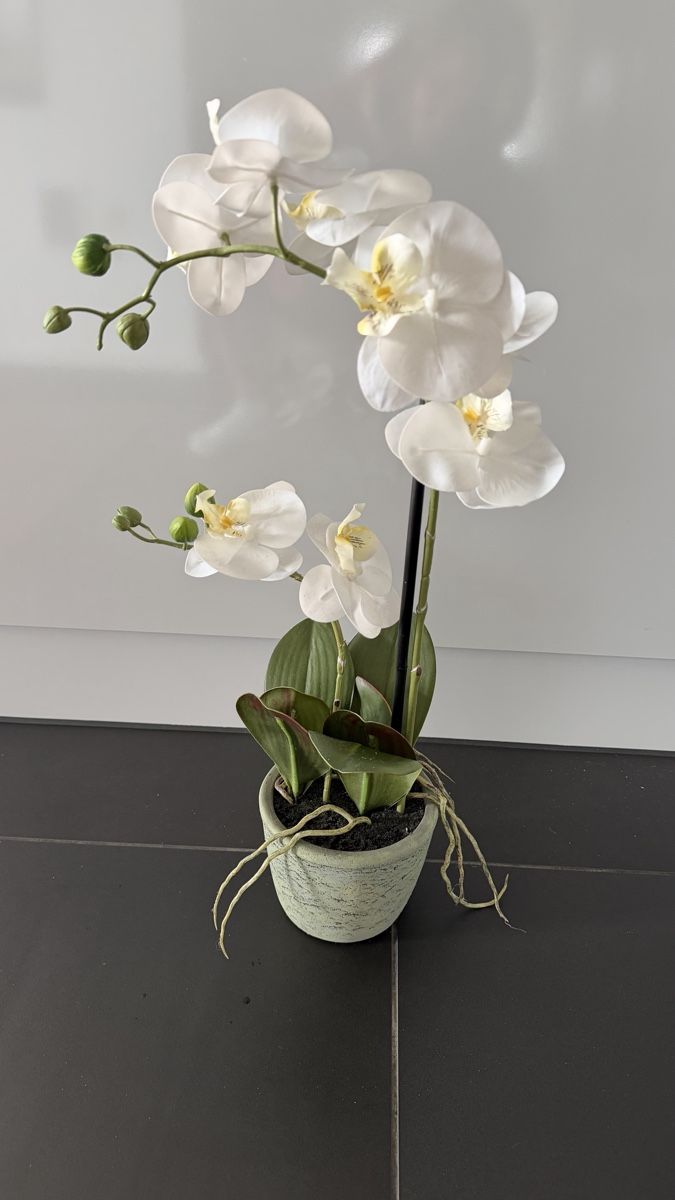 Piante & sementi: Kunstpflanzen Orchideen weiss mit Kunsterde – Usato da Seuzach venduto da ann_w2zc 2
