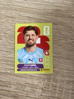 Panini SUI 2