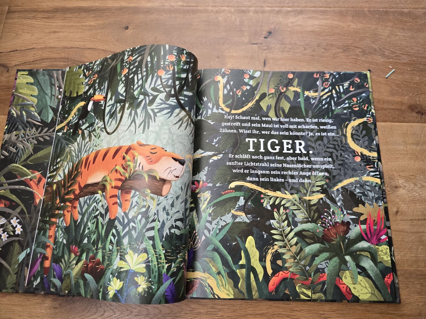 Libri: Der achtsame Tiger - Ein tolles Kinderbuch – Usato da Wittenbach venduto da Tigerlili 1