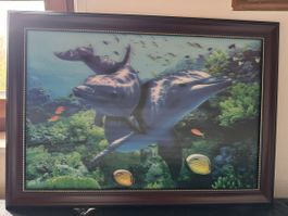 Tableau 3D dauphin