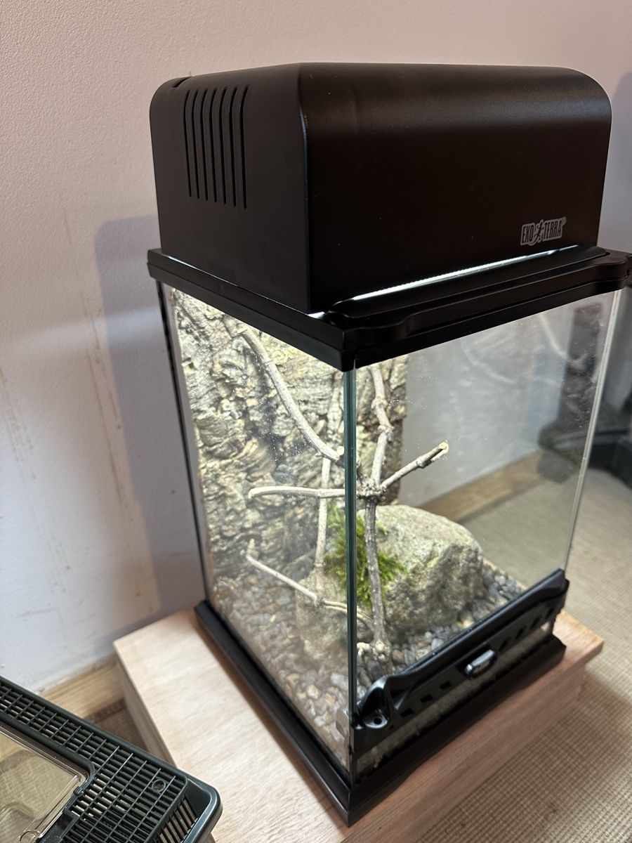 Terrario: Terrarium Exo Terra – Usato da Russikon venduto da vwbuss87 1