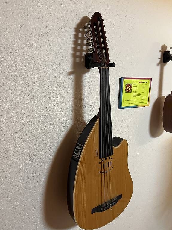 Instruments de musique: Godin Multi Oud Ambiance Limited edition – D'occasion à Oberdorf SO par Snyffeneg0