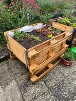 Hochbeet