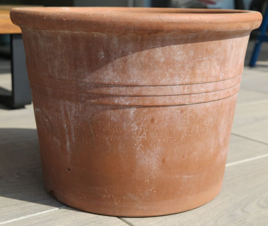 53+ Blumentopf 32 Cm Durchmesser, Mit einem durchmesser von 32 cm