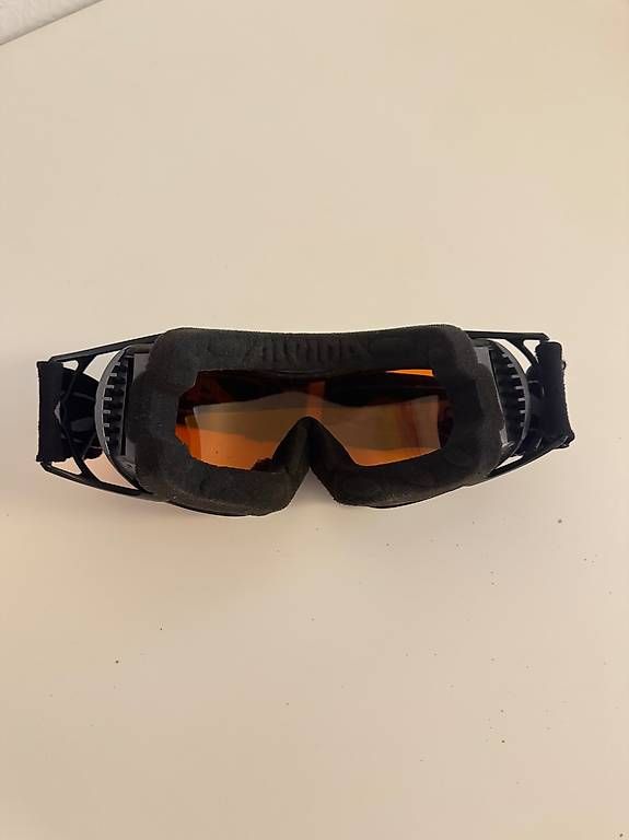 Occhiali & Lenti: ALPINA Skibrille – Usato da Zürich venduto da martinfel 2