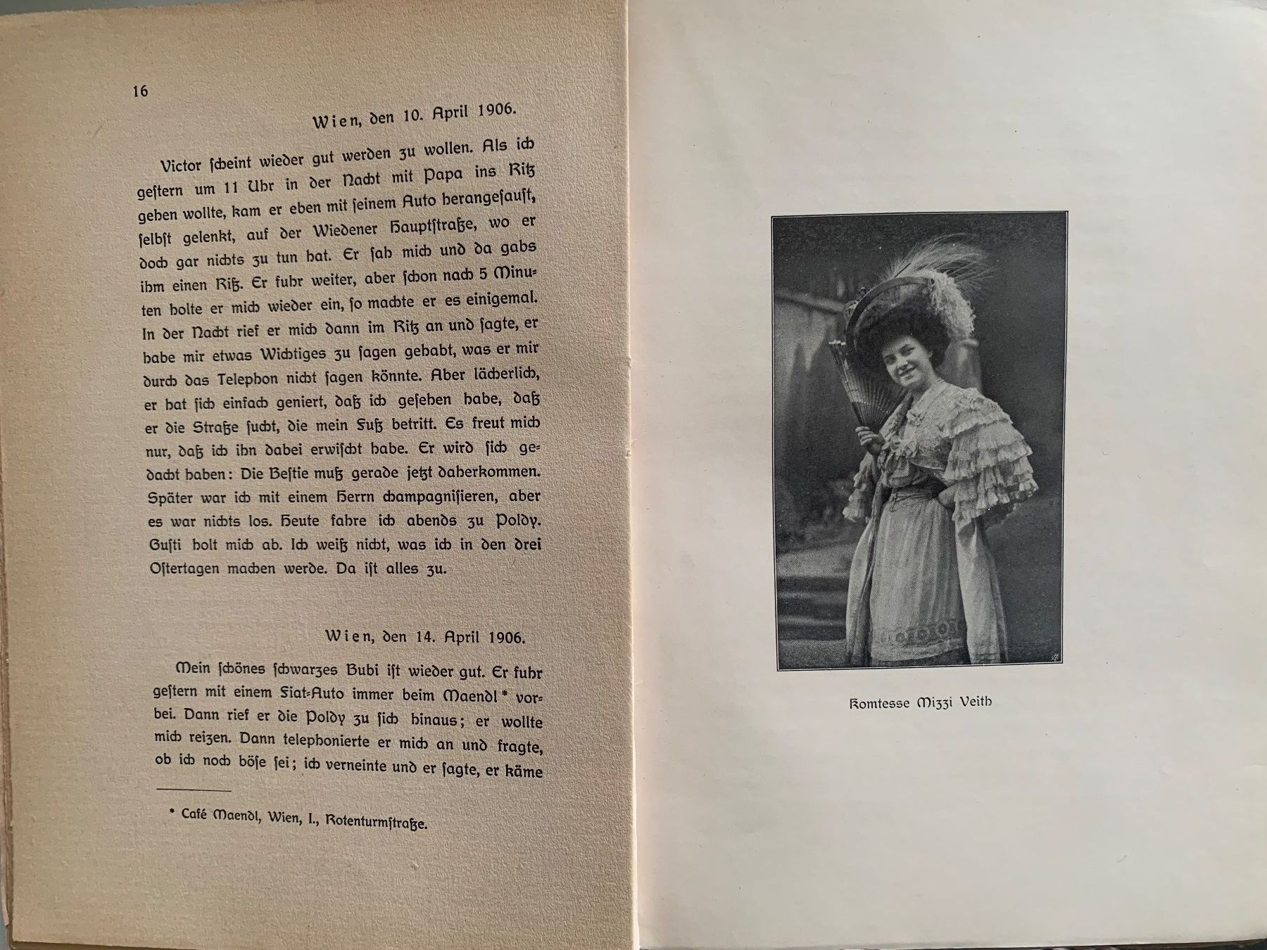 Bücher: Authentisches Tagebuch der Komtesse Mizzi Veith – Gebraucht aus Basel von SusaSandig 3