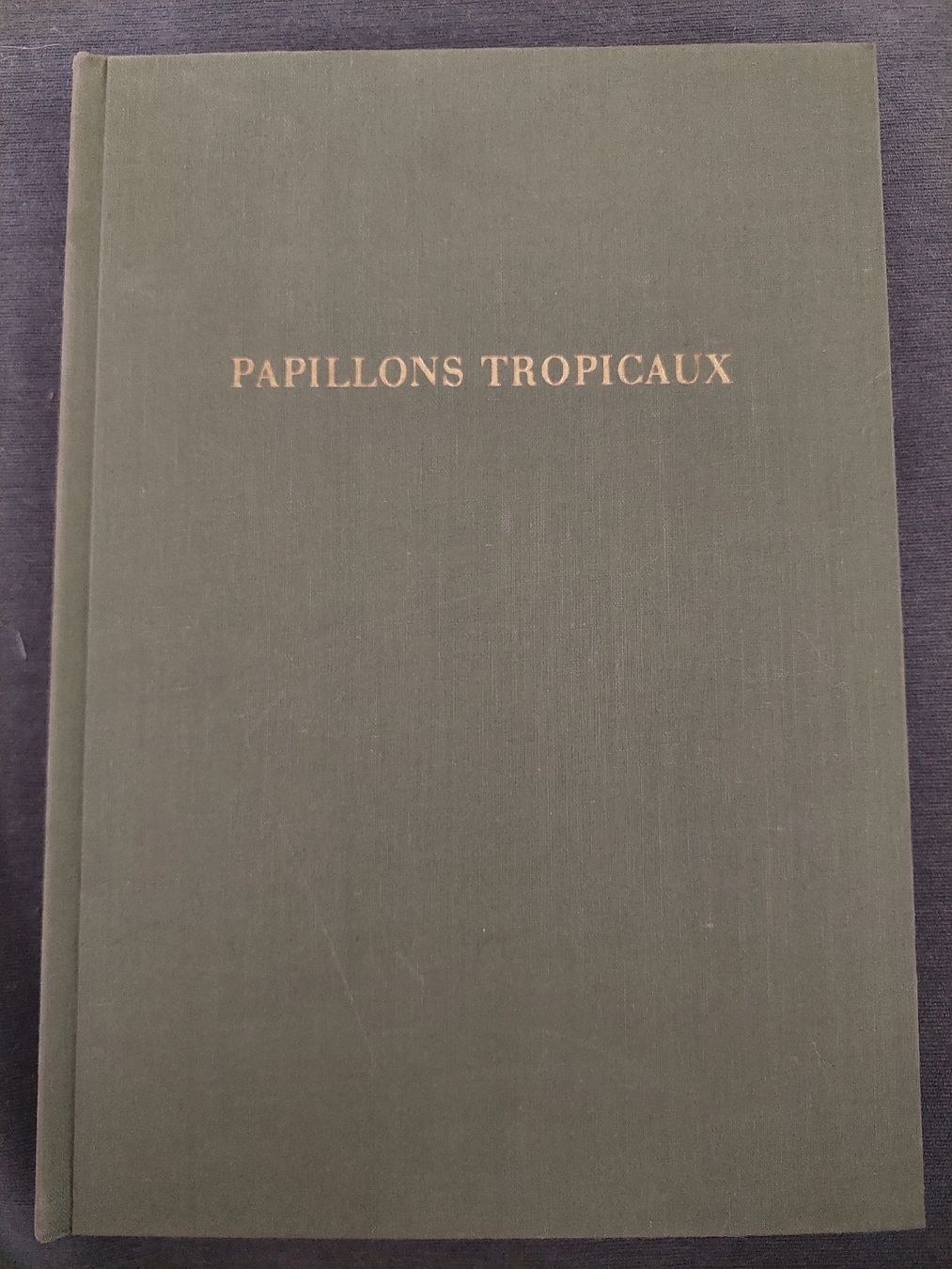 Bücher: Papillons tropicaux – Gebraucht aus Yverdon-les-Bains von pri_x6j6