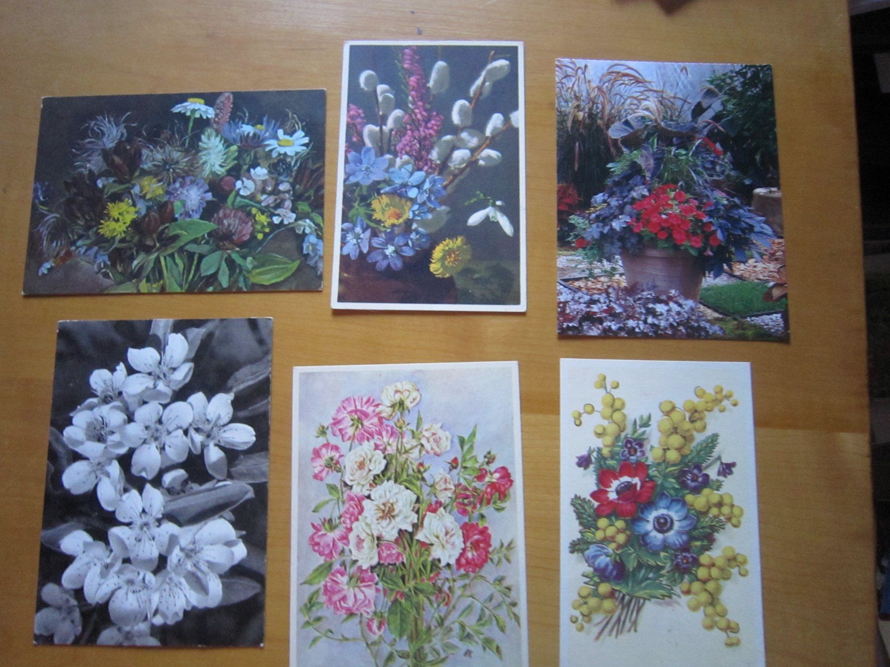 Ansichtskarten: No2 Postkarten Blumen – Gebraucht aus Gordola von Polentaefung