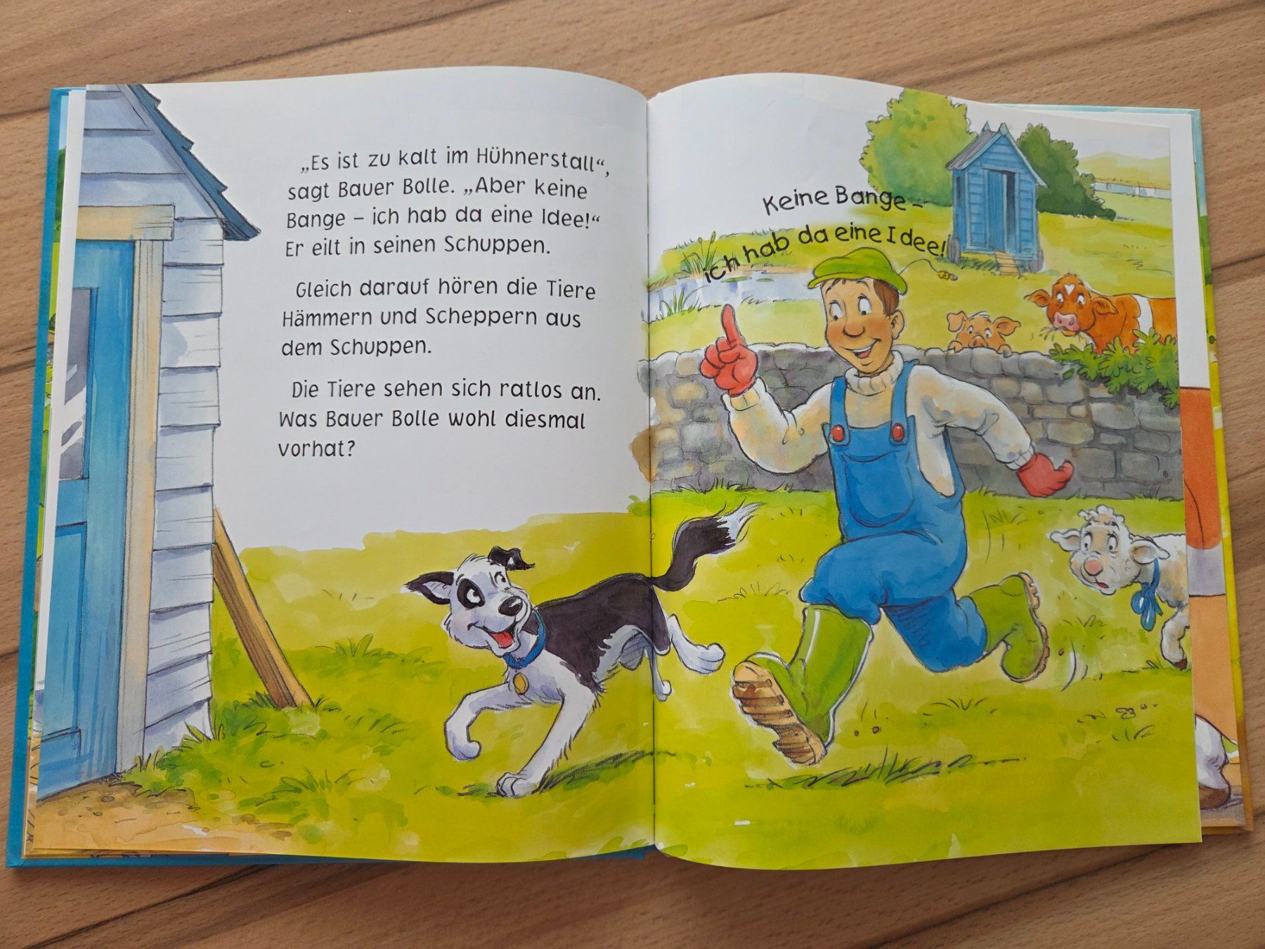 Livres: Das dreizehnte Ei – D'occasion à Grosswangen par sunny.stivi 3