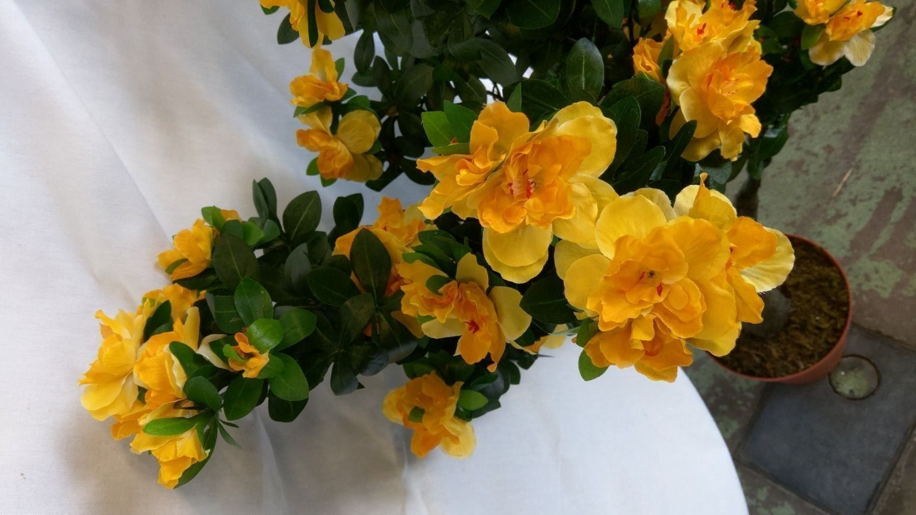 Piante & sementi: Künstliche Azalea im Topf 110cm – Nuovo (secondo la descrizione) da Däniken SO venduto da Profog1 1