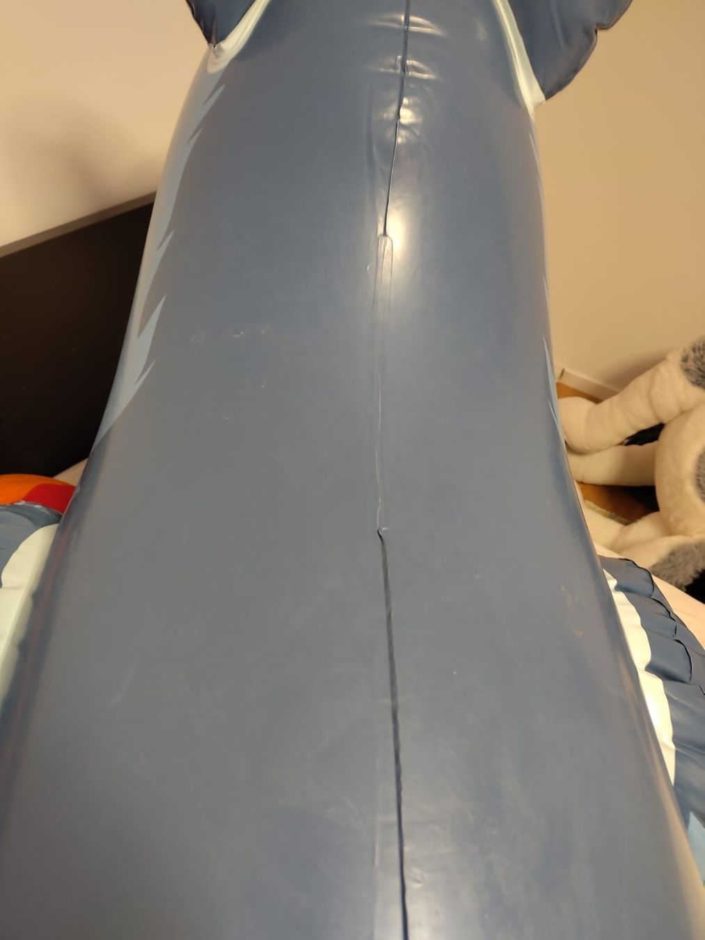 Salvagente: Aufblasbare inflatable Wolf matte – Usato da Le Locle venduto da boe_d6hd 4
