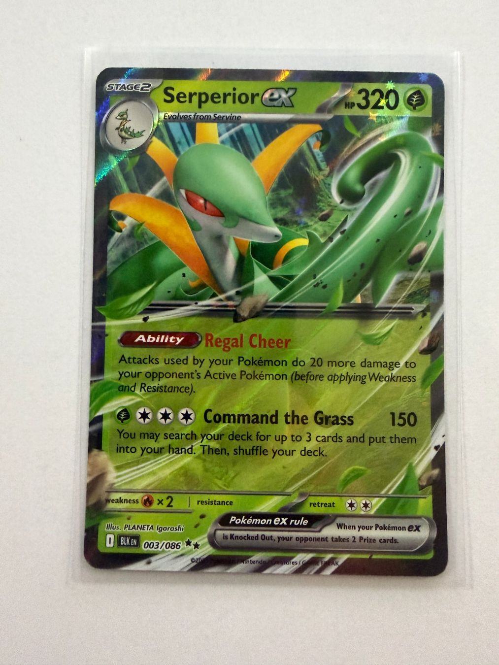 Pokémon Carte collezionabili: Pokemon Serperior EX 003/086 Black Bolt EN – Nuovo (secondo la descrizione) da Weingarten-Kalthäusern venduto da McGmavlo