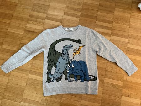 HM Pullover mit Dino-Motiv, Grösse 110/116 - Top Zustand!