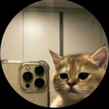Profile image of ale_wz5p
