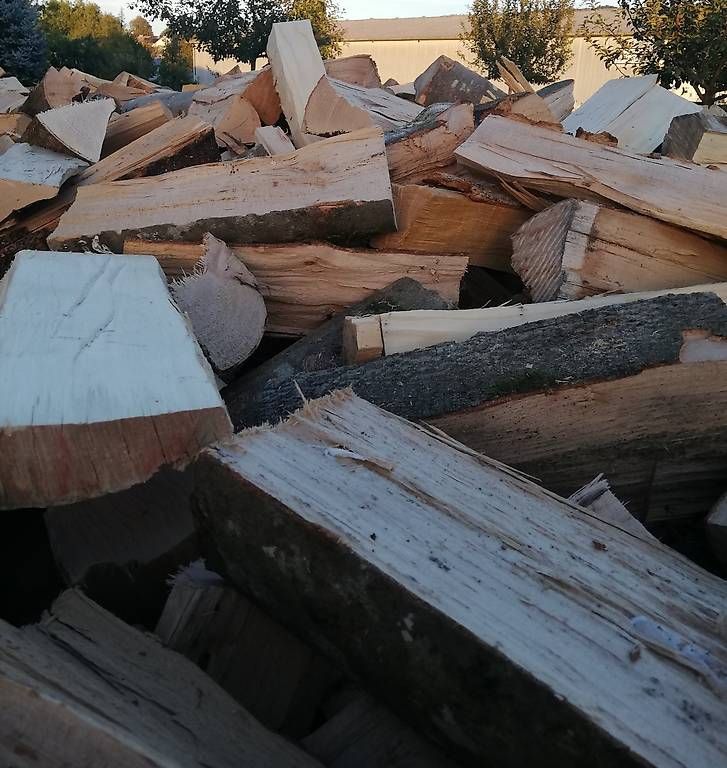 Holzartikel: Brennholz trocken – Gebraucht aus Märstetten von Camino1