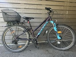 Bulls Tokee Street 24 Mädchenfahrrad
