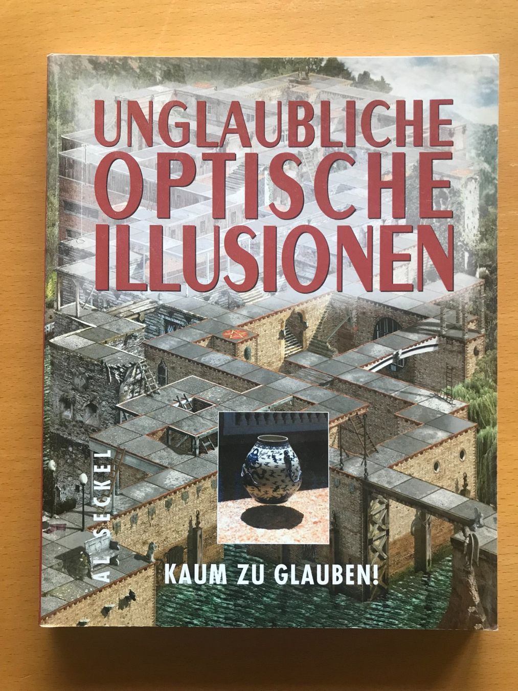 Bücher: unglaubliche optische Illusionen – Gebraucht aus Luzern von mey_s13