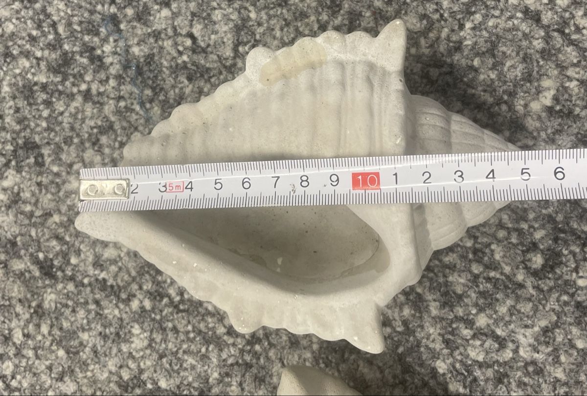 Vasi per fiori: 2 Muschel-Übertopfe/Dekoartikel ,Vase – Nuovo e nell'imballaggio originale da Au ZH venduto da Jaggy4 5