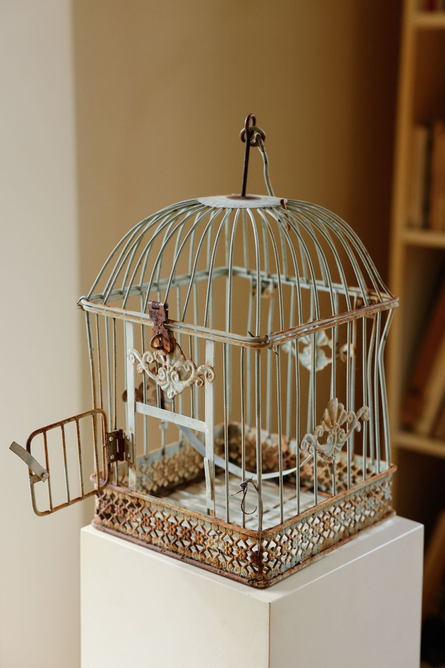 Casette per uccelli: Vogelhaus aus Metall – Usato da Zürich venduto da vitty 4