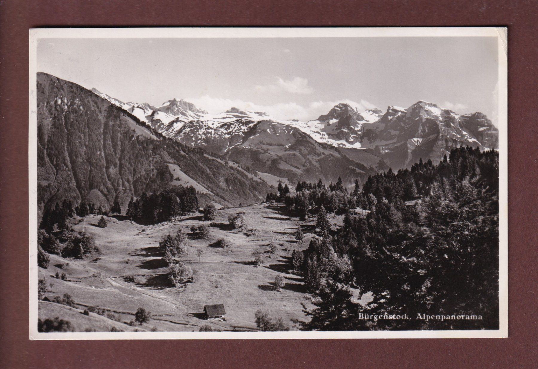 Cartoline postali: BÜRGENSTOCK - Alpenpanorama - 1942 – Usato da Pully venduto da nicecards