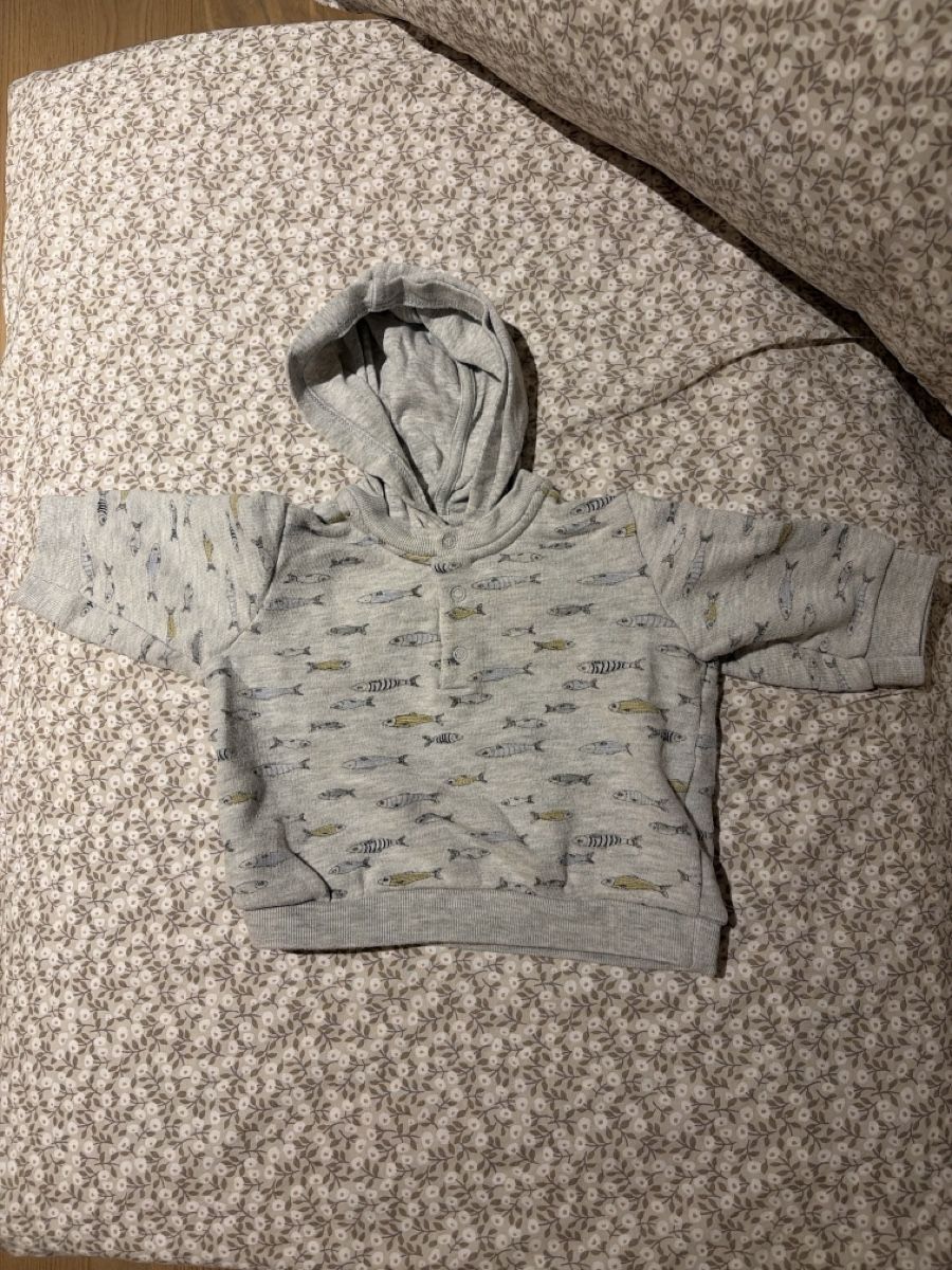 Petit Bateau Maglioni & Felpe: Pullover Petit Bateau 67cm / 6M – Usato da Küssnacht am Rigi venduto da amynilleuh