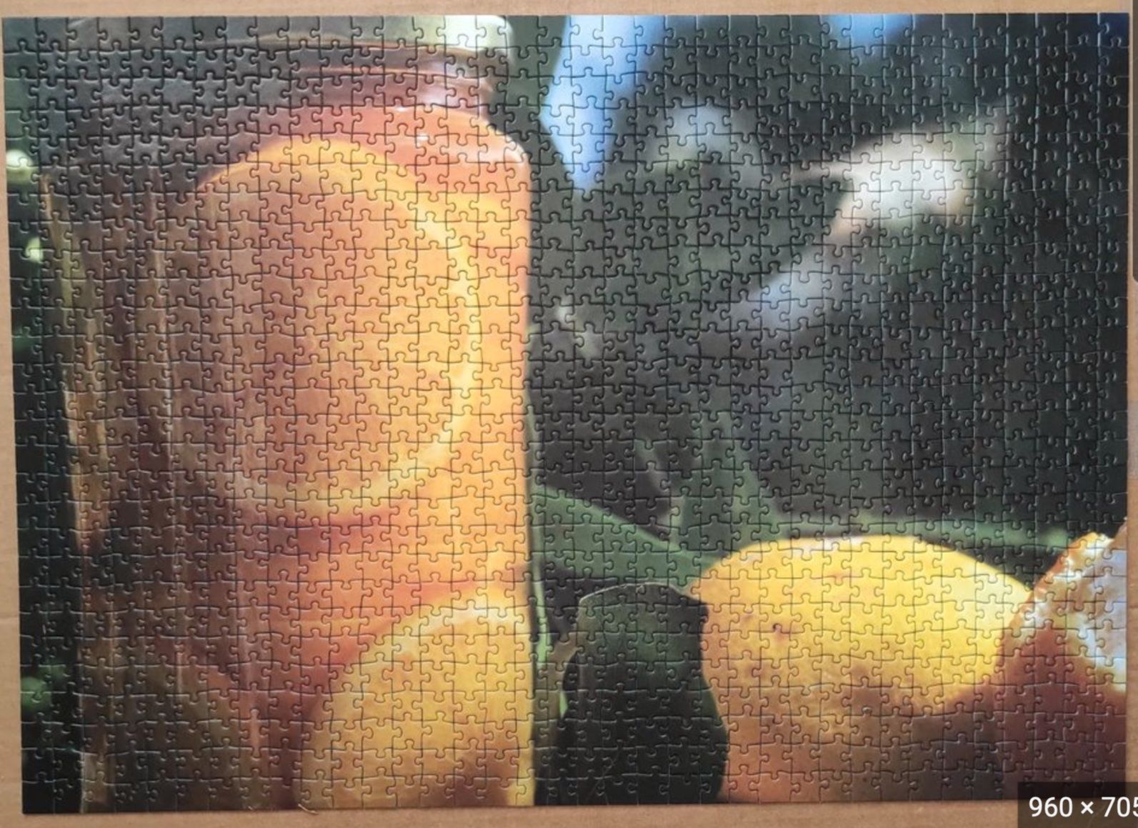 Ravensburger Puzzle: Puzzle 1000 Teile – Usato da Berikon venduto da Zimmerlinde5 1