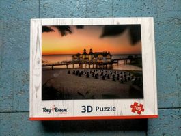 3D Puzzle 100 Teile von Tony Brown