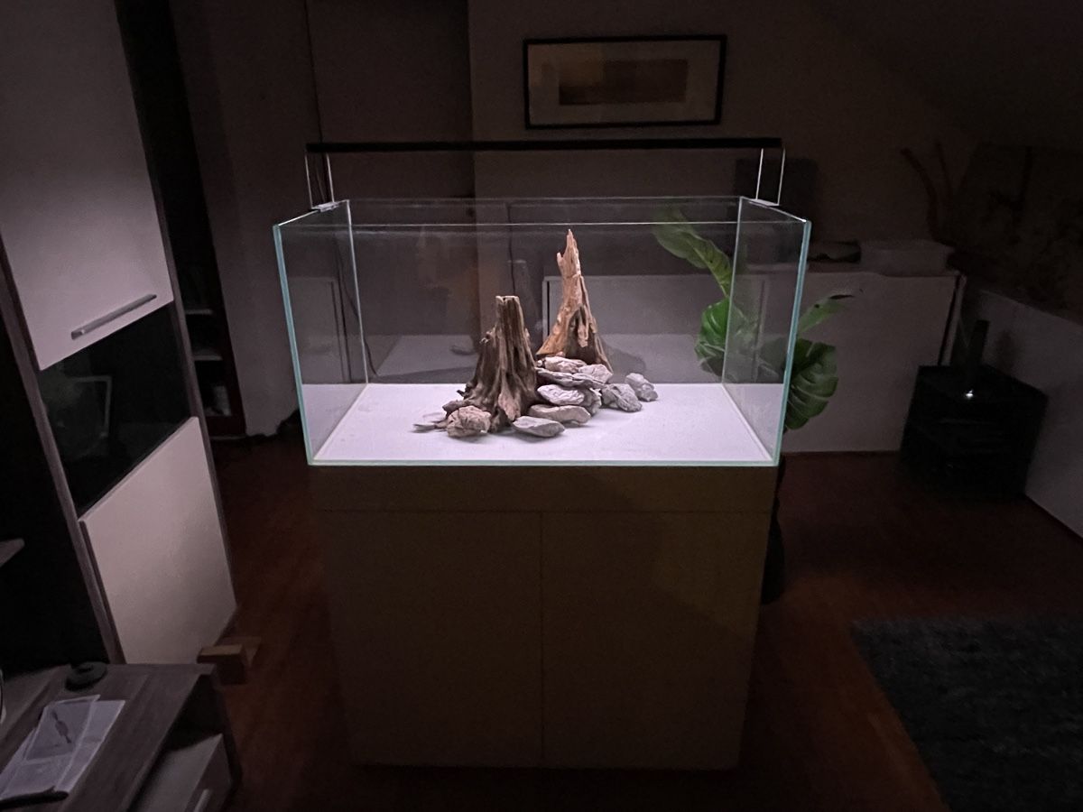 Aquarium: Aquarium 🐟 Pool Becken  – Gebraucht aus Hinwil von ron_t8wh 3