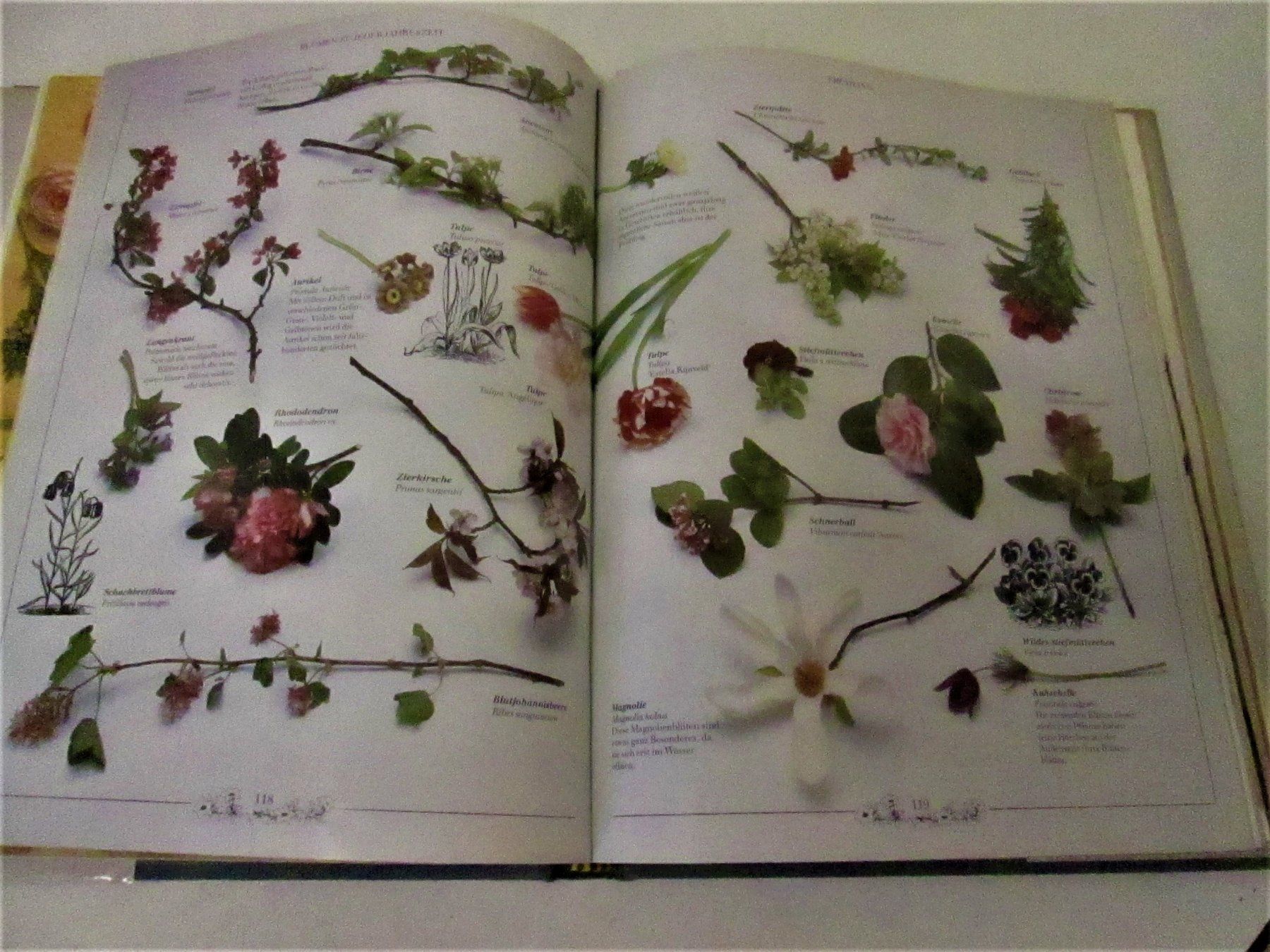 Libri: Zauberhafte Bouquets – Usato da Sementina venduto da babucia 2