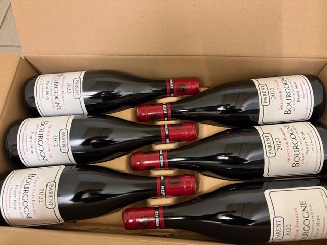 Vino: Domaine Parent Bourgogne 2022 – Nuovo e nell'imballaggio originale da Domat/Ems venduto da chrislassi 1