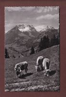 Gstaad - GFELALP mit Staldenfluh - 1946